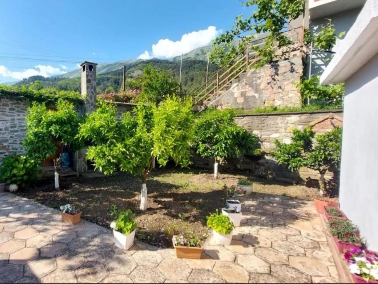Villa Adams Permet Albania